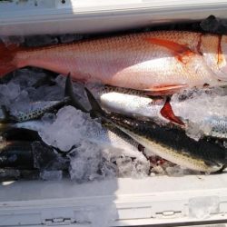 康仁丸船ジギング